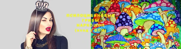 дмт Абинск